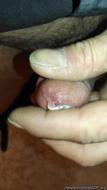 Adult image from Denpenn