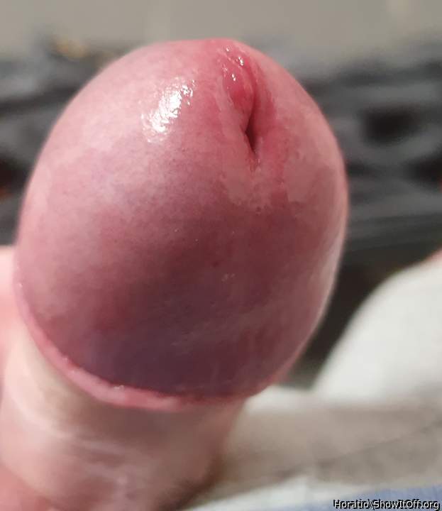 Adult image from Horatio