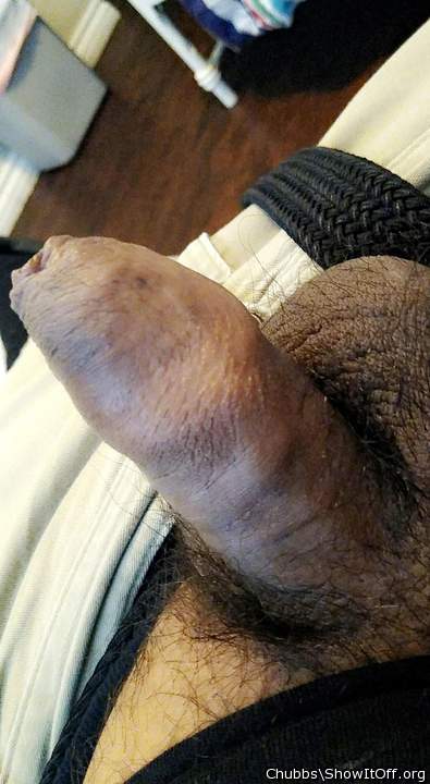 Adult image from Chubbs