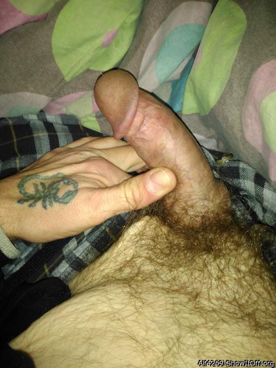 Adult image from Alf4269