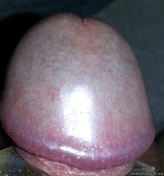 Adult image from tixHH