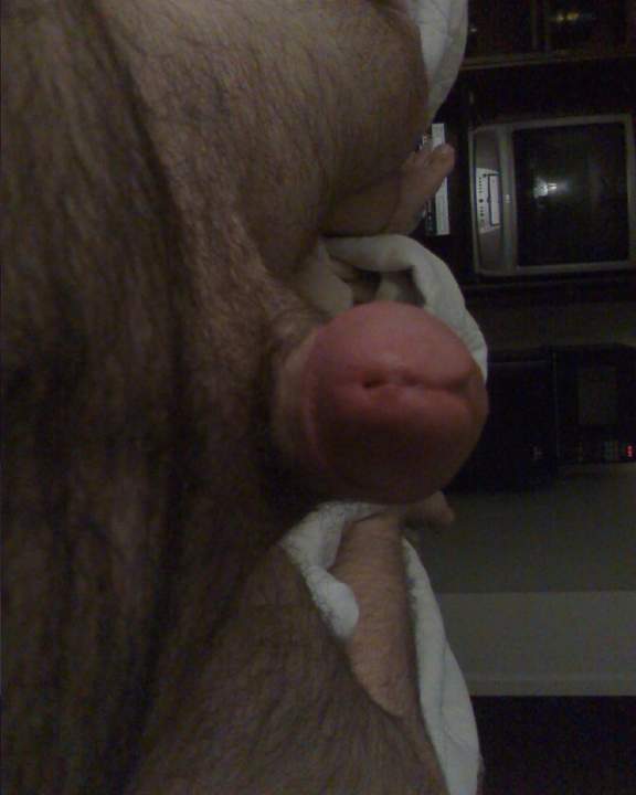 Adult image from sethvir18