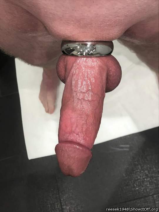 Magnificent ringed cock!     
