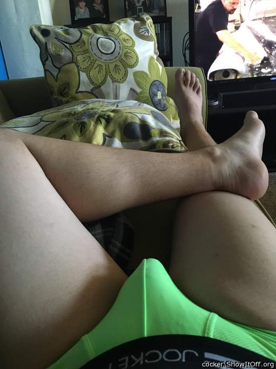 Adult image from cocker