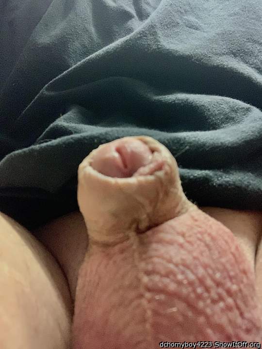 Adult image from dchornyboy4223