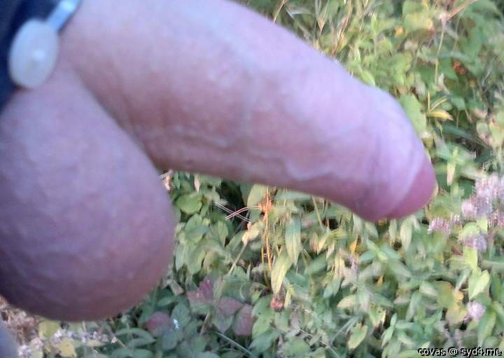 Geiler Schwanz !!!  