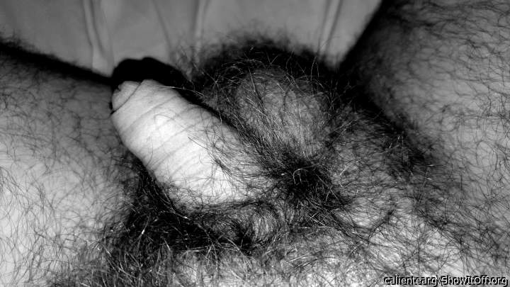 Adult image from calientearg