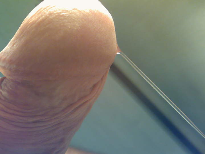 Adult image from roccotano