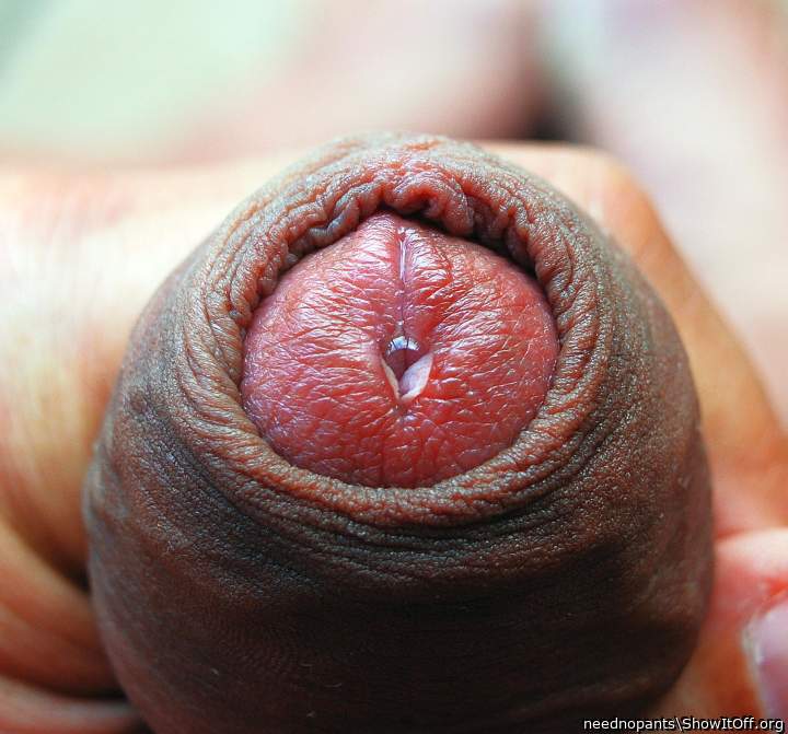 Adult image from neednopants