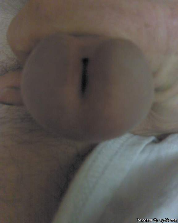 Adult image from texasal