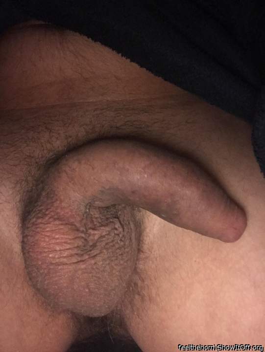 Adult image from feelthehorn