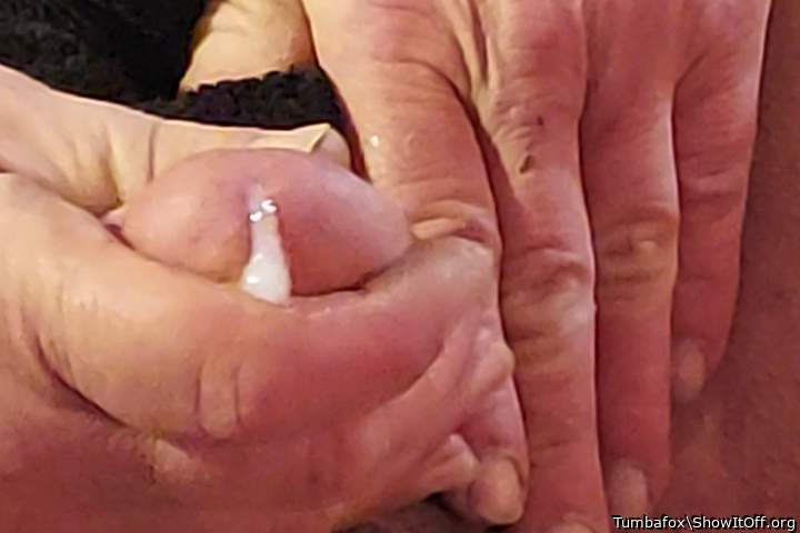 Adult image from Tumbafox