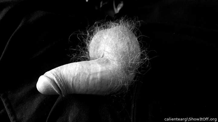 Adult image from calientearg