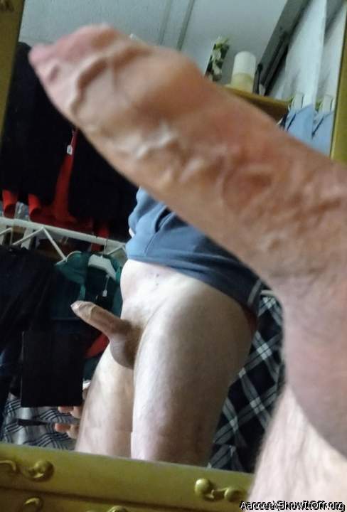 Adult image from Aaccee