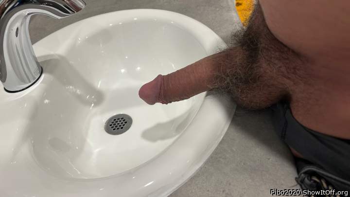 Adult image from Pibo2020