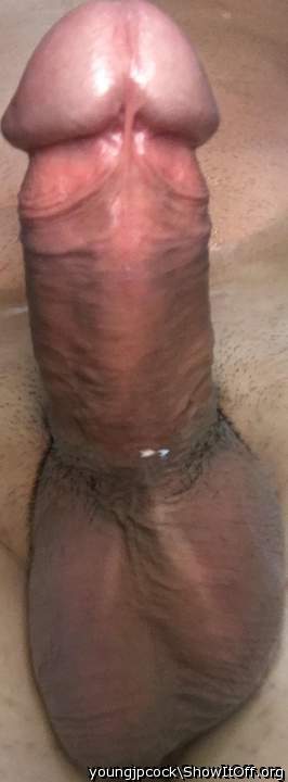 Adult image from youngjpcock