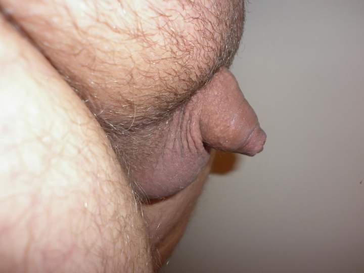 Adult image from Smander