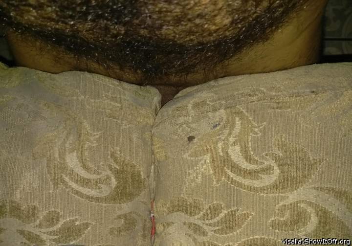 Adult image from visalia