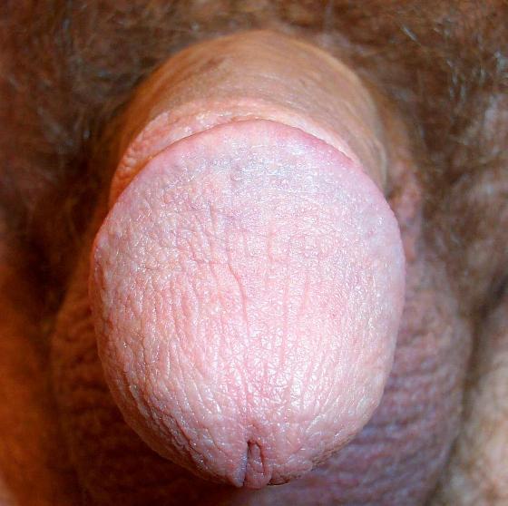 Adult image from lilsoftee