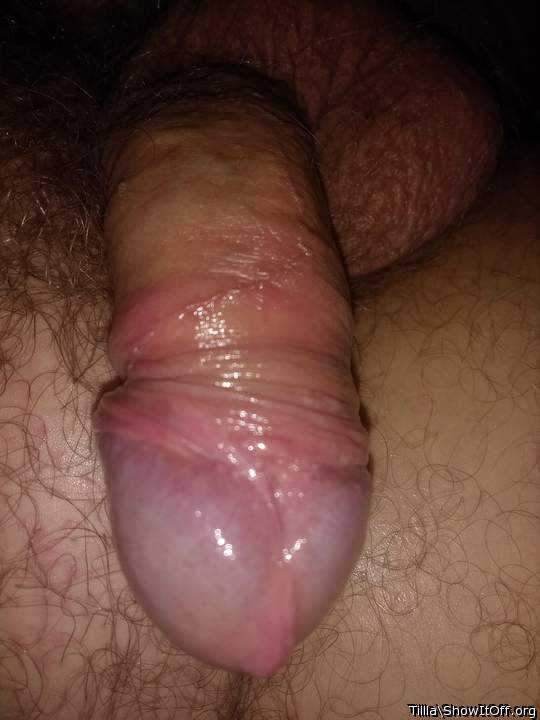 Adult image from Tillla