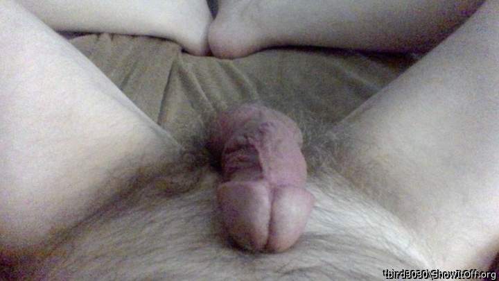 Adult image from tbird3030