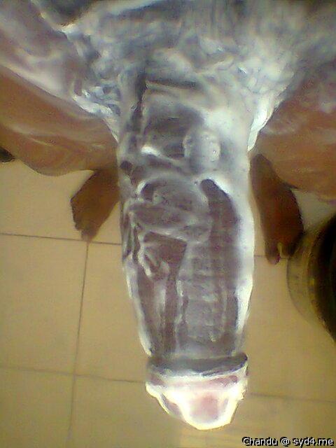Adult image from Chandu