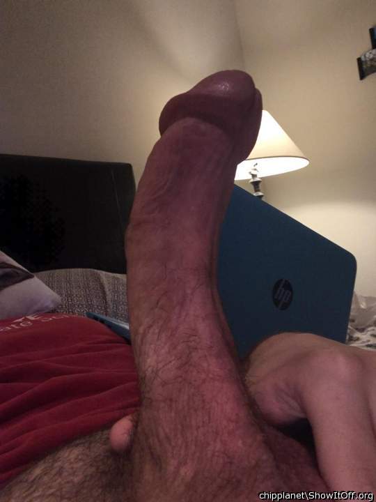 Adult image from chipplanet