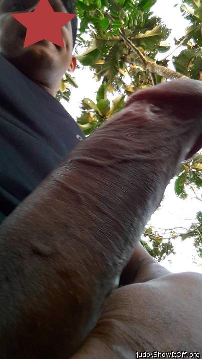 Adult image from judo