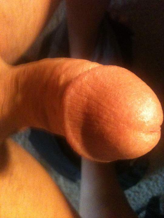 Adult image from messini