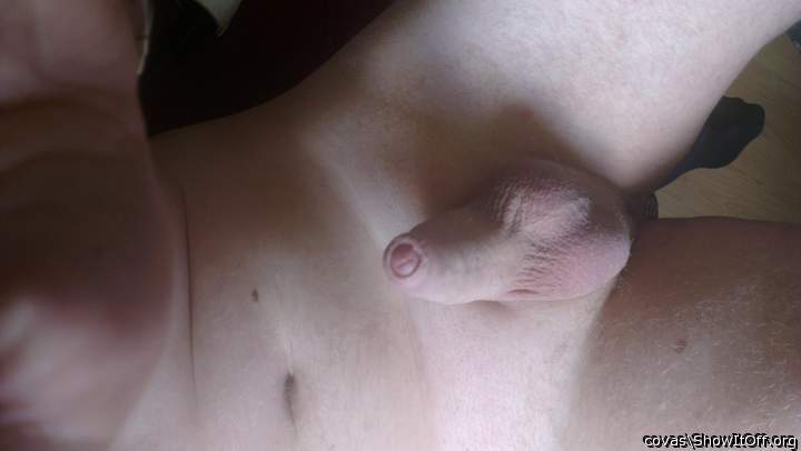 Adult image from covas