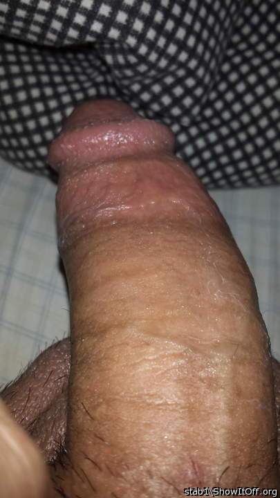 Adult image from stab1