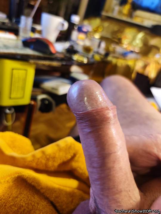 Adult image from dischwa