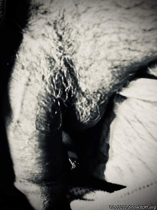 Adult image from Pibo2020