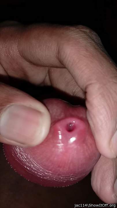 Adult image from jac114