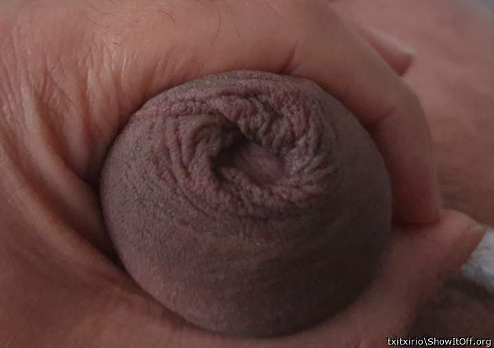 Adult image from txitxirio