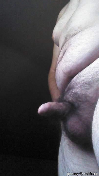 Adult image from Goosey