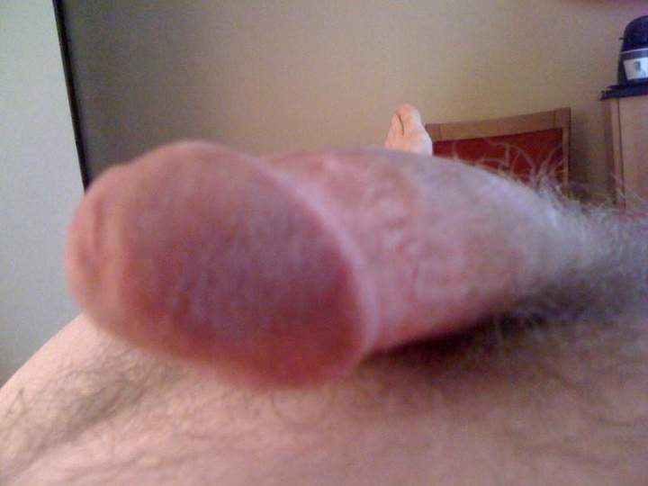 Adult image from arctic11