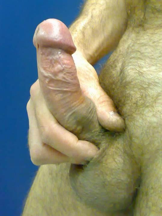 Adult image from roccotano