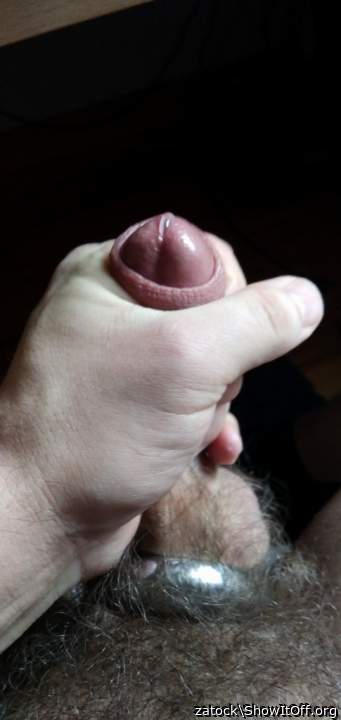 Adult image from zatock