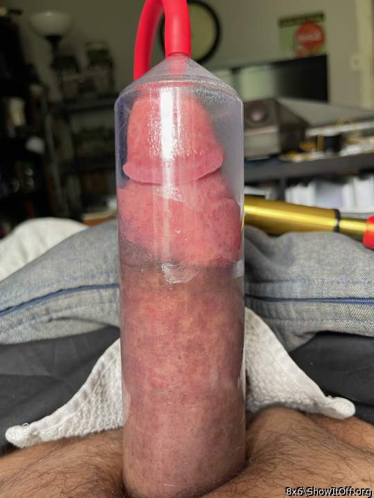 Adult image from 8x6