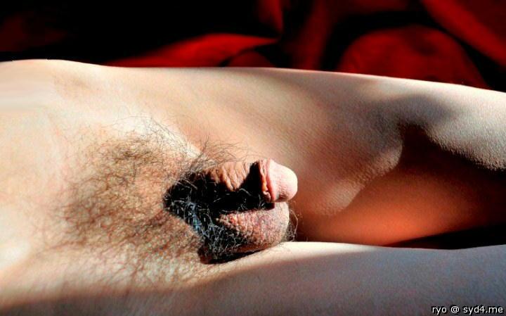 Adult image from ryo
