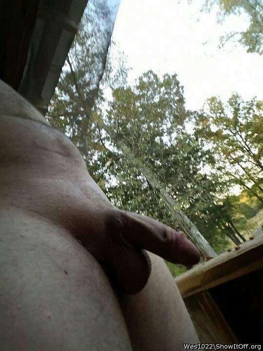 Adult image from Wes1022