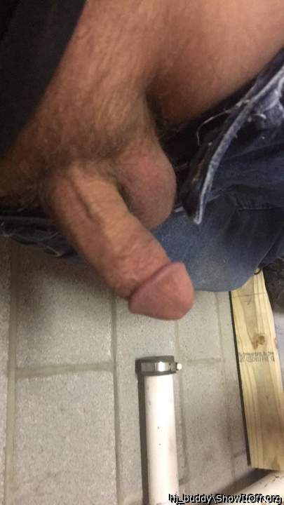Adult image from HJ_buddy