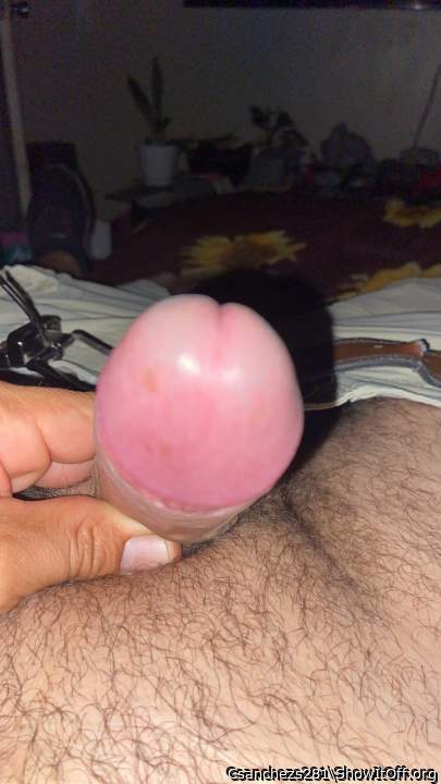 Adult image from Csanchezs281