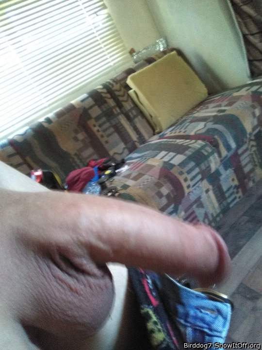 Adult image from Birddog7