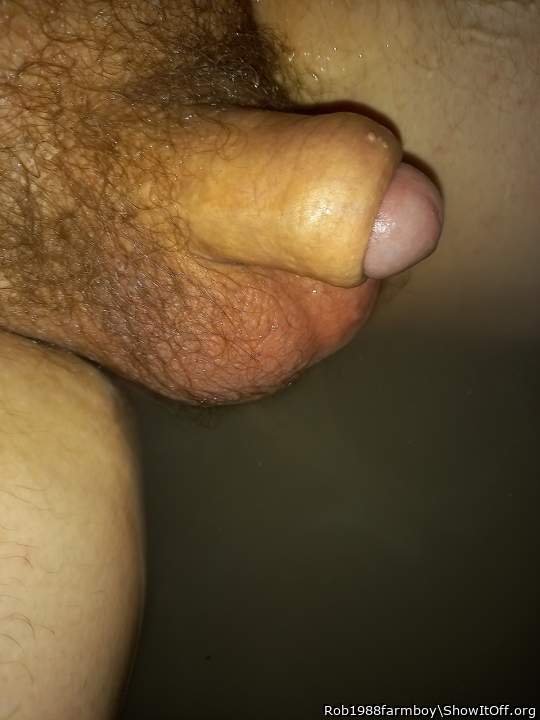 Adult image from Rob1988farmboy