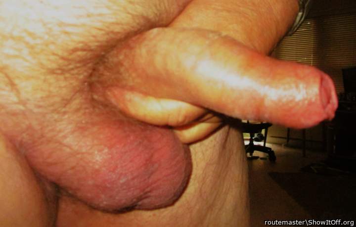 My early Sunday morning uncut dick and balls, 27.7.25