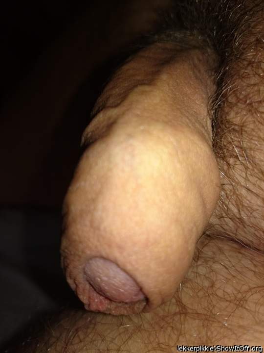 Adult image from lekkerpikkie