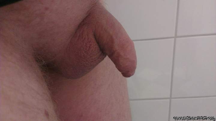 Adult image from covas