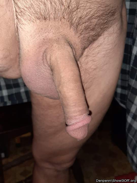Adult image from Denpenn